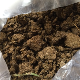 1 bao phân bò khô