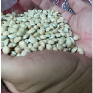 500 gram bạch biển đậu