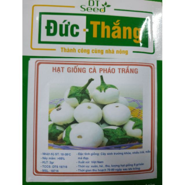 Hạt giống cà pháo trắng - Rau củ quả trồng tại vườn, sân thượng, nông trang, ban công