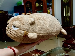 Gấu Bông Mèo lười