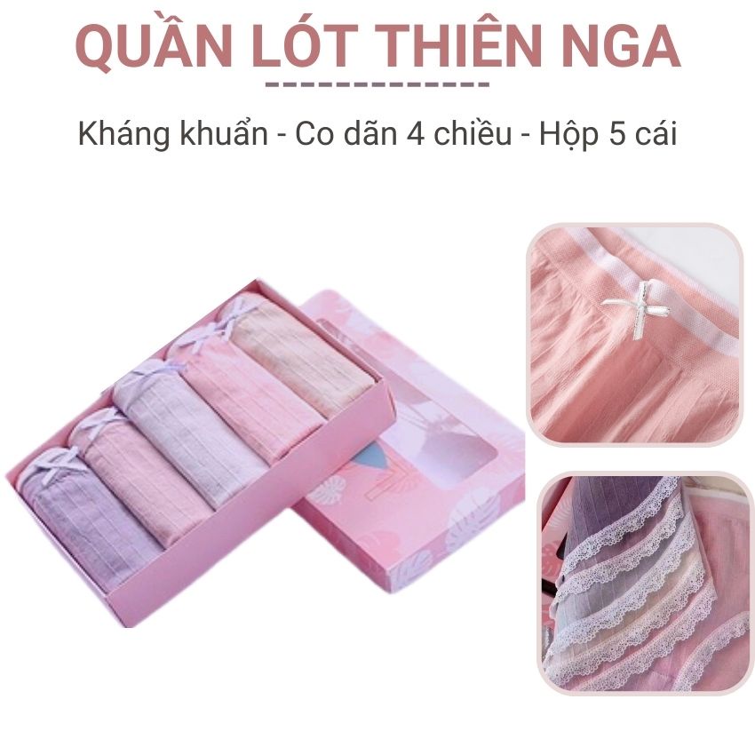 Hộp 5 quần lót cotton thiên nga kháng khuẩn siêu thấm hút định hình mông họa tiết ren co giãn 4 chiều thoáng mát Angola
