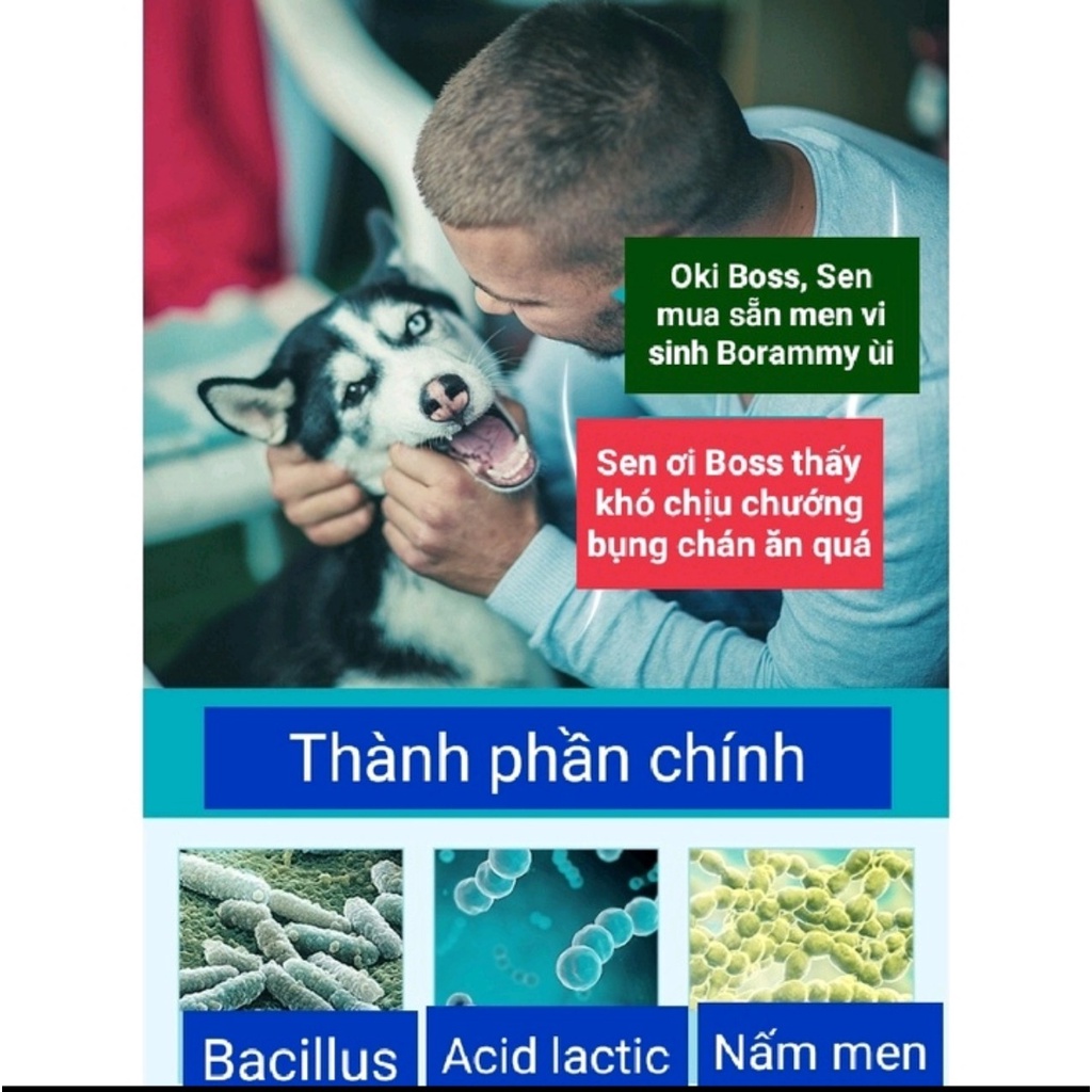 Hộp 10 gói Men vi sinh Men tiêu hóa cho chó mèo thú cưng Borammy - Hàng chính hãng có tem chống giả