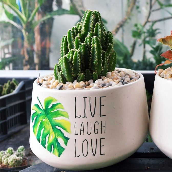 [IN HÌNH VẼ CHỮ THEO YÊU CẦU] Chậu Sứ Trồng Cây Cảnh Để Bàn, Sen Đá, Xương Rồng, Terrarium- Mẫu kim cương