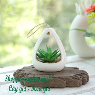 Cây giả - Chậu Sen đá chậu sứ trắng