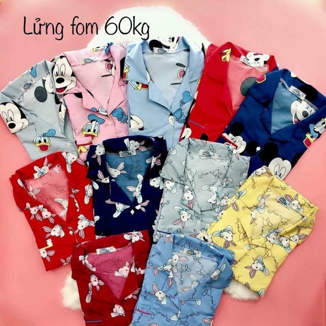 Đồ bộ mặc ở nhà