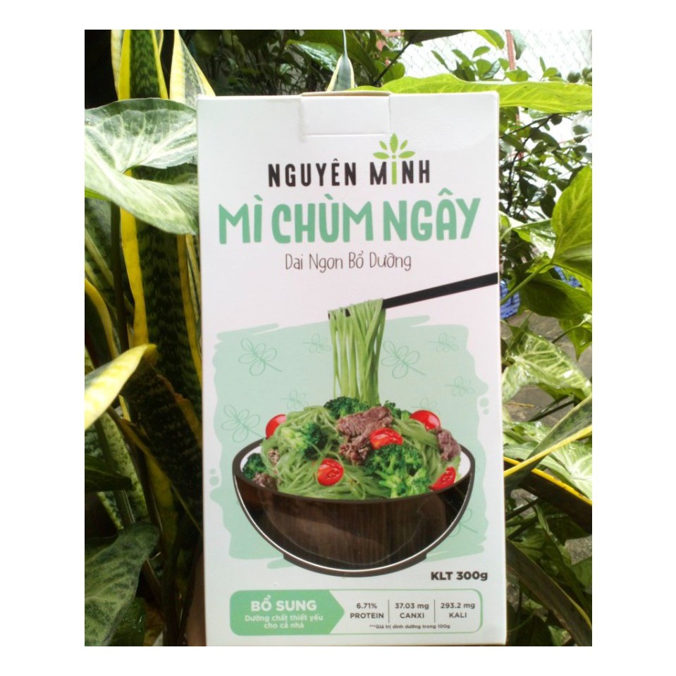 Mì Chùm Ngây Nguyên Minh - 300g - Dai ngon bổ dưỡng, dưỡng chất thiết yếu cho cả nhà