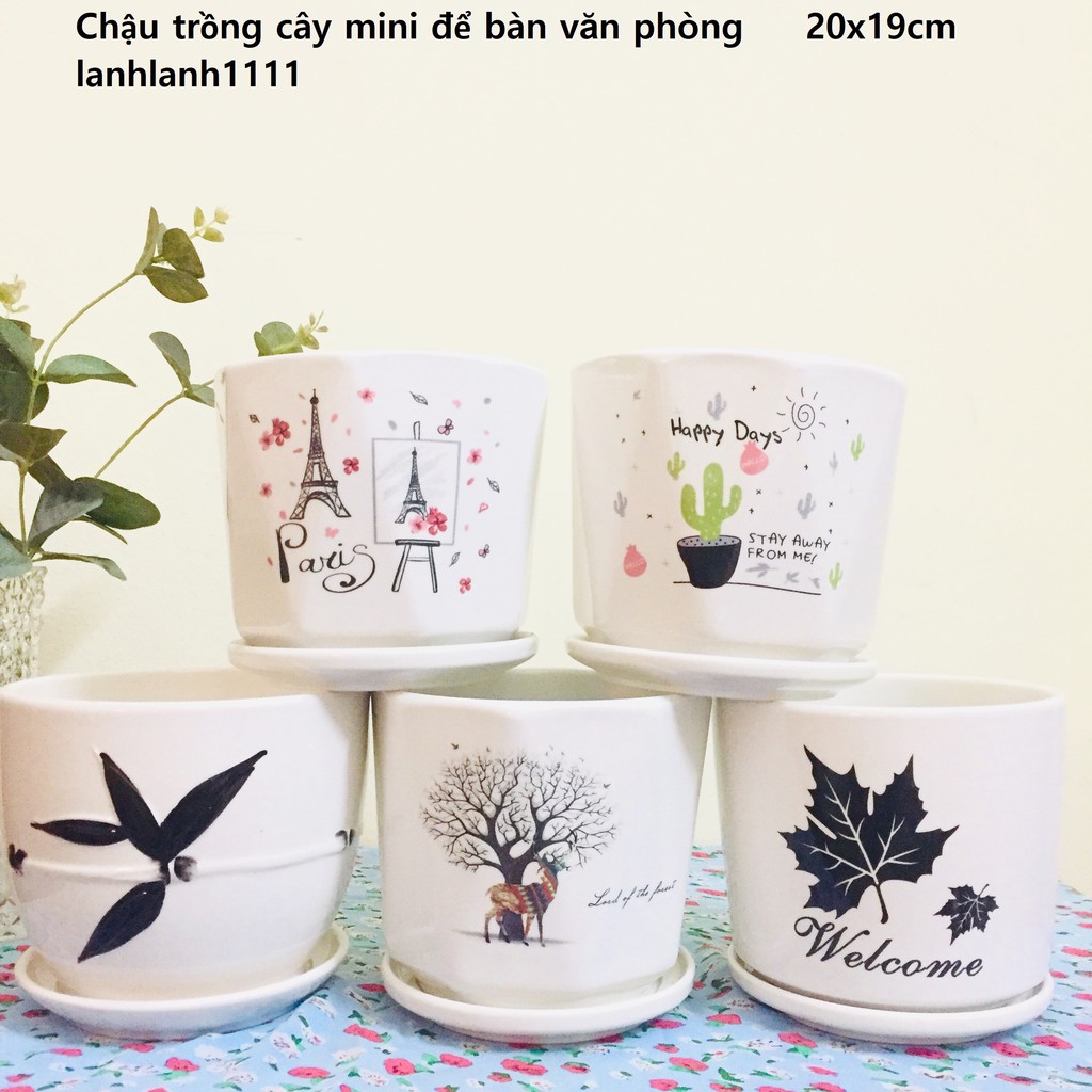 Chậu trồng cây mini để bàn, trang trí nhà cửa, có đĩa dính liền dưới chống rò rỉ nước size 15*14cm