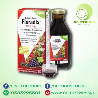 Dung dịch Floradix Salus bổ sung sắt chai 250ml