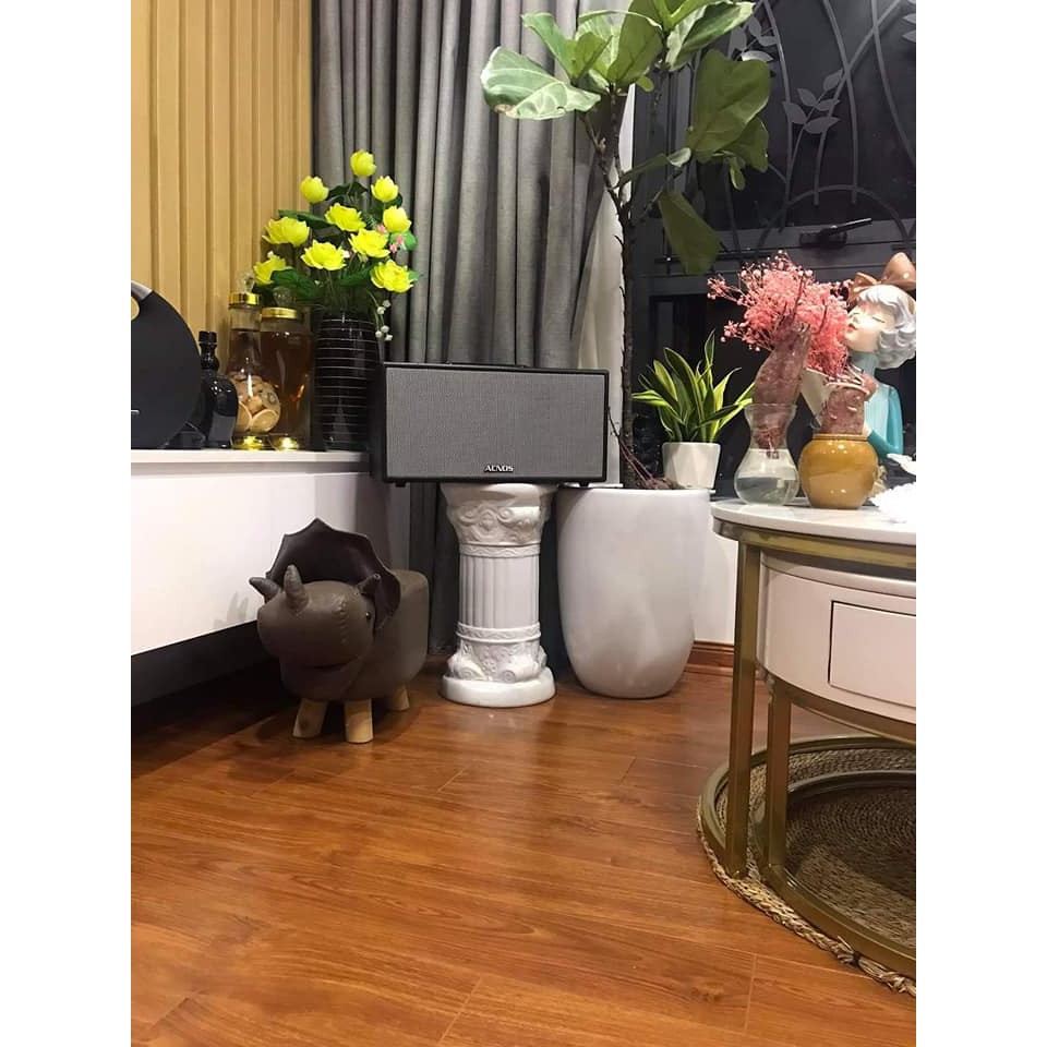 Loa  Acnos CS447 Mới 100% chính hãng Soncamedia bảo hành 12 tháng