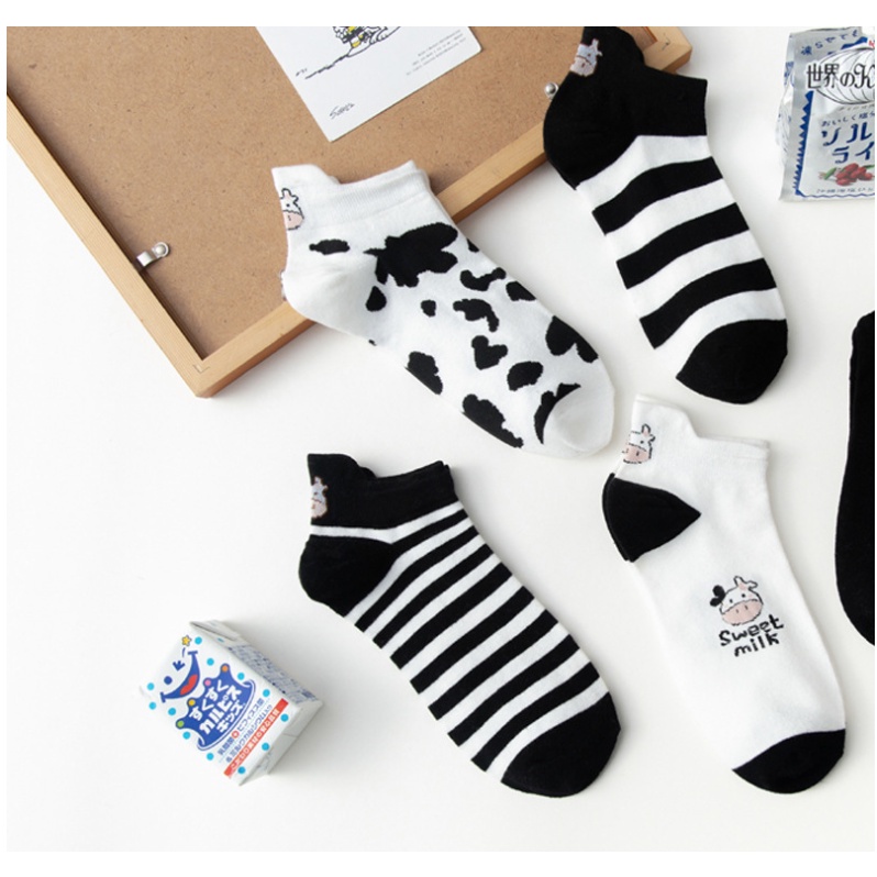 Tất nữ ngắn cổ nhiều hình phong cách hàn quốc set 5 đôi kèm túi covolacotat