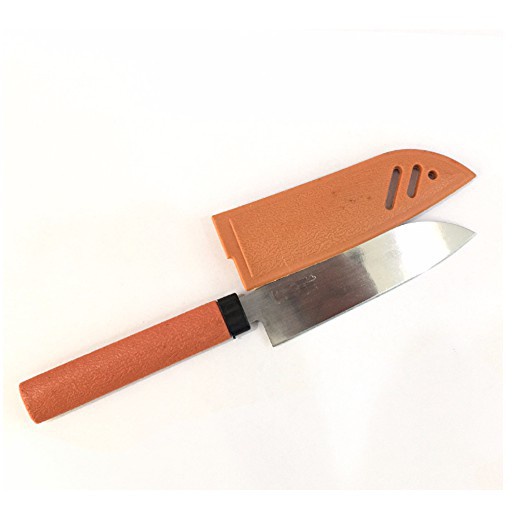 Dao gọt hoa quả trái cây sắc mini có vỏ đựng hình con cá GD167