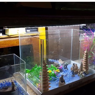 Đèn LED T4-30led siêu sáng cho hồ thủy sinh 30 -40cm, chống nước, ánh sáng Trắng