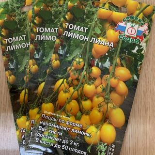 CÀ CHUA CHÙM CAU VÀNG