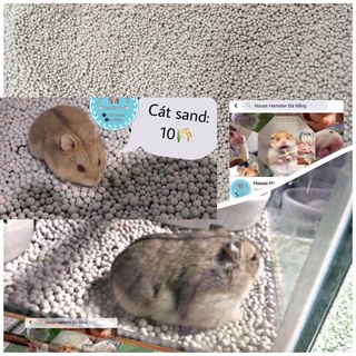Cát Sand lót chuồng cho hamster, bọ ú, nhím, ( gói dùng thử