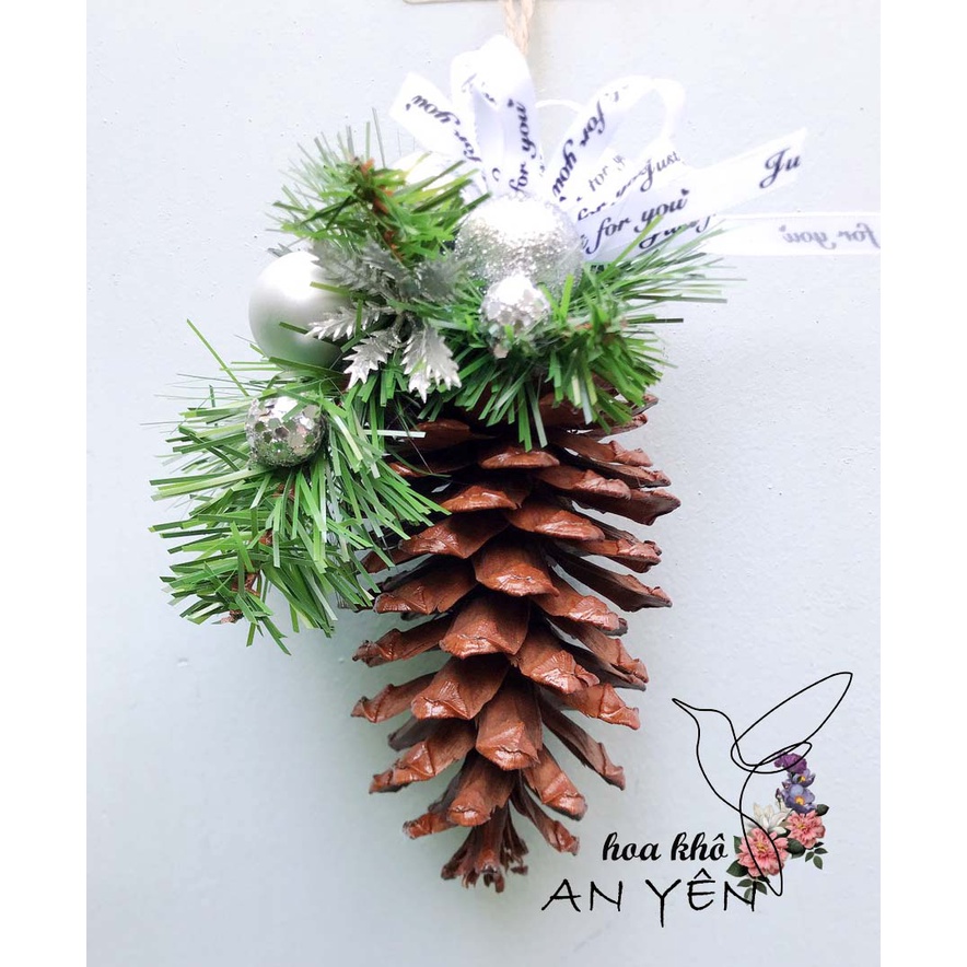 TRÁI THÔNG TRANG TRÍ NOEL