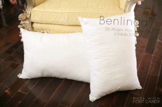 Combo ruột gối+ ruột chăn