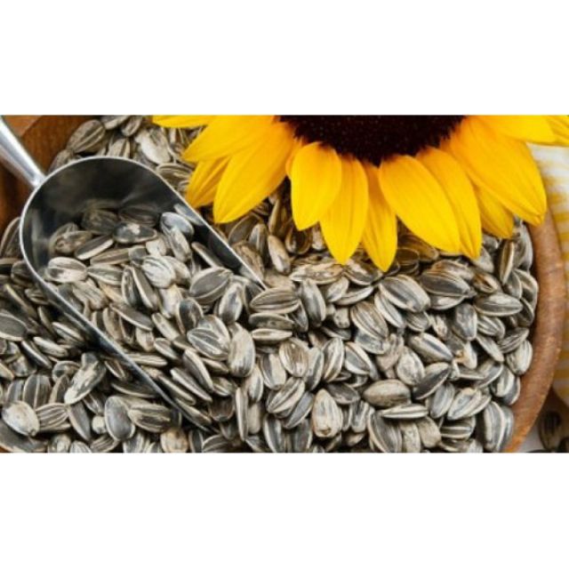 Hướng dương rang chín_túi 1kg