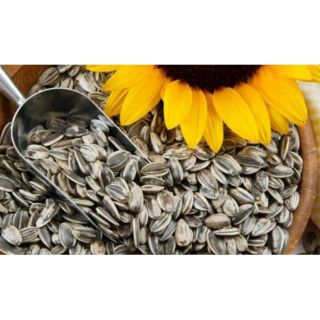 Hướng dương rang chín_túi 1kg