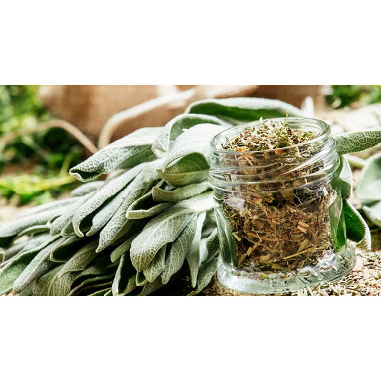 Lá Xô Thơm Havafood – Sage Leaf Ground