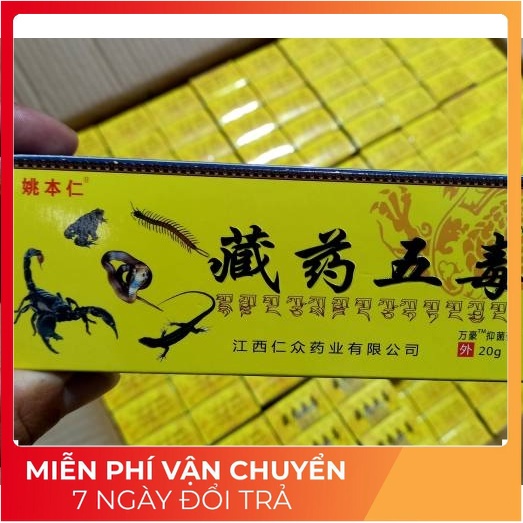 Kem xoa bóp Ngũ Độc Tây Tạng hỗ trợ giảm đau nhức xương khớp nội địa trung quốc