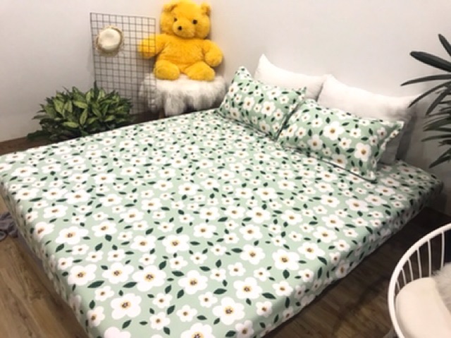 Bộ ga chun và 2 áo gối nằm Emmidecor - mẫu hoa bèo, drap cotton poly