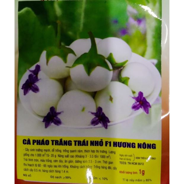 HẠT GIỐNG CÀ PHÁO TRẮNG - GÓI 1 GRAM