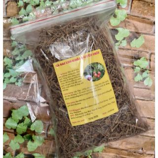 500gr cây cà gai leo khô tự trồng giải độc gan, hạ men gan, nóng trong