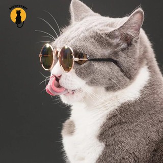 Kính râm dành cho thú cưng đáng yêu xinh xắn