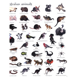 Sách - Anh: 1000 Animals