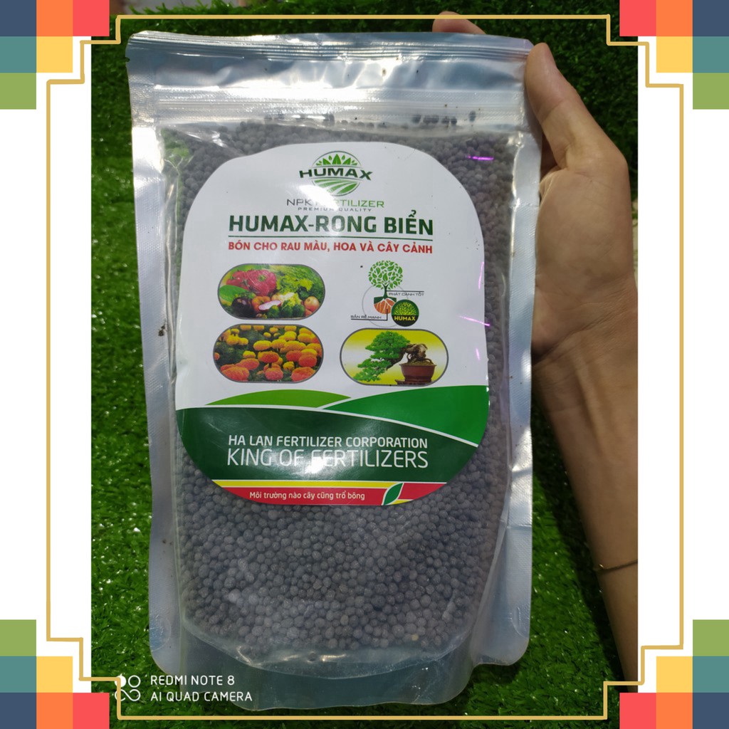 [Hàng có sẵn] HUMAX-RONG BiỂN-1kg