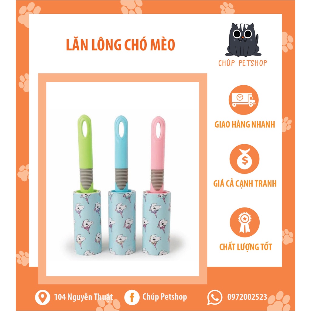 Cây lăn lông chó mèo