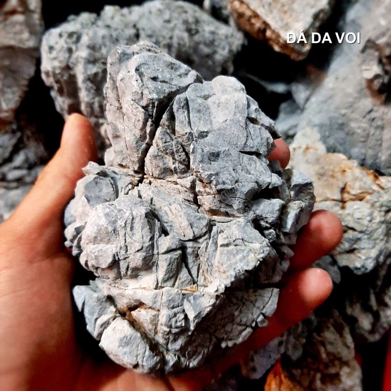 Đá Da Voi Siêu Vân (1kg)