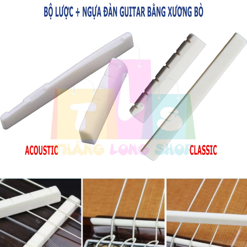 Bộ lược, ngựa cho đàn guitar chất liệu xương bò (già) cao cấp