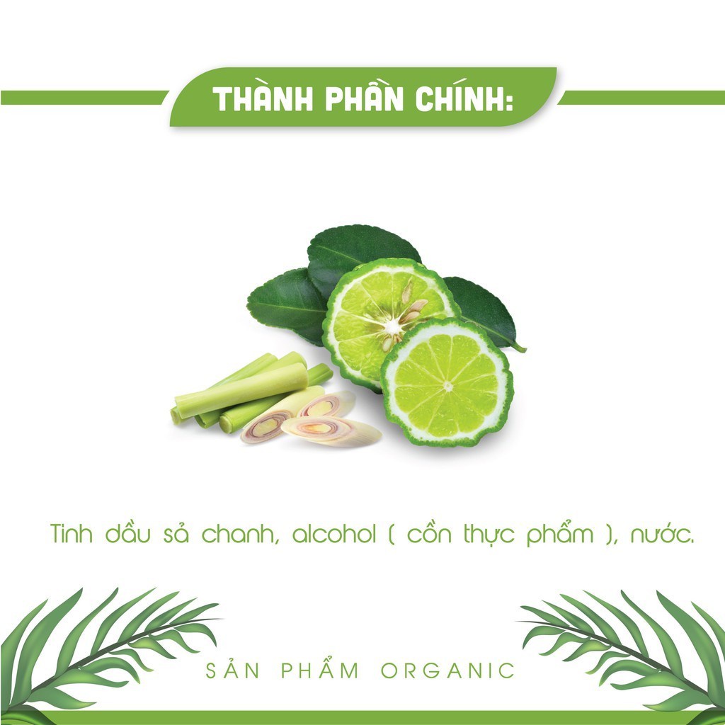 Chai Xịt Thơm Phòng Tinh Dầu Sả Chanh Khử Mùi 250ml AN AN đuổi muỗi hiệu quả