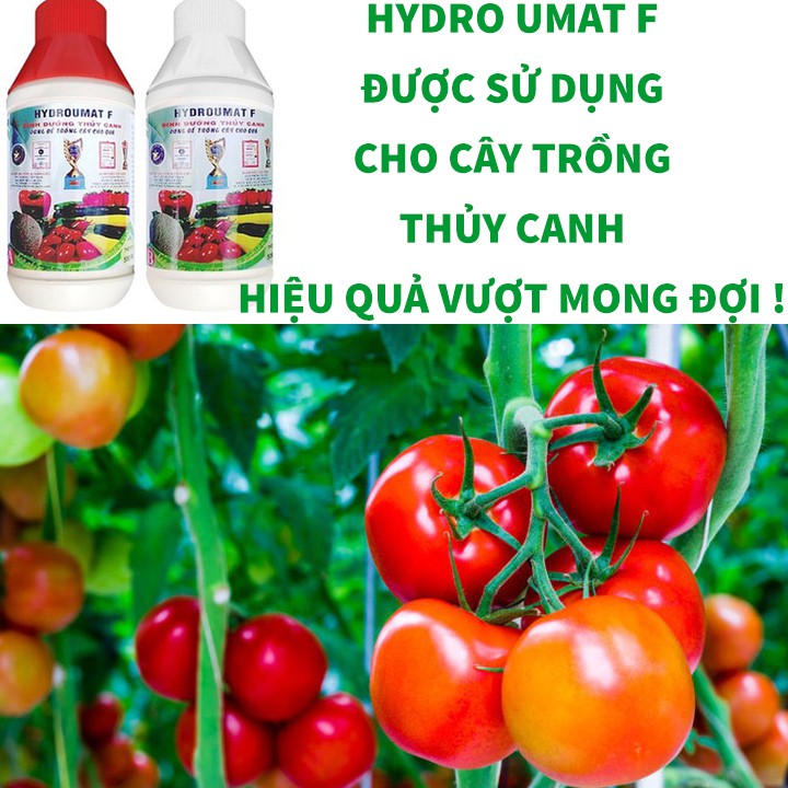 COMBO DINH DƯỠNG THỦY CANH HYDRO UMAT F + BÚT ĐO TDS-3