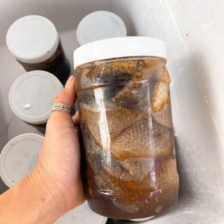 MẮM CÁ LÓC CÀ MAU 1kg