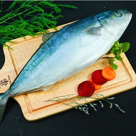 Cá Cam Nhật Nguyên Con Nhập Khẩu  - Giao Hoả Tốc HCM - Quoc Thinh Foods