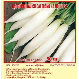 Hạt giống củ cải trắng hà nội