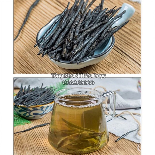 Chè Đắng Cao Bằng 100g