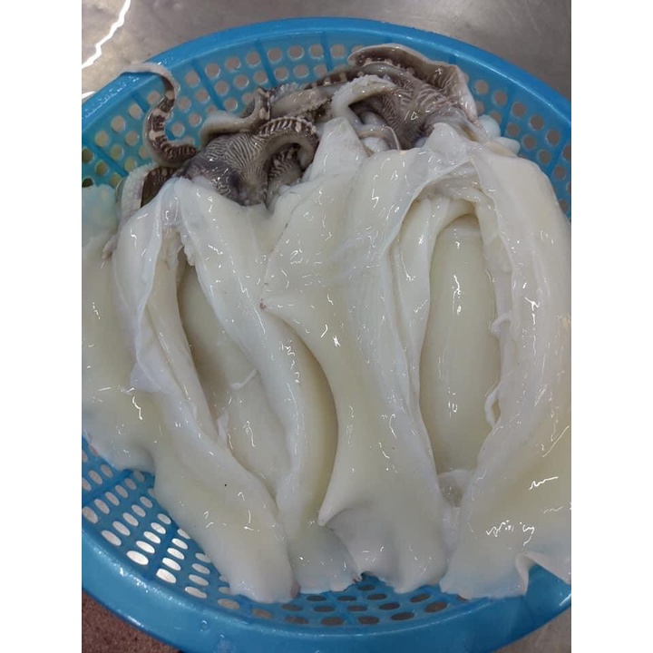 MỰC NANG KHỔNG LỒ 250k/con