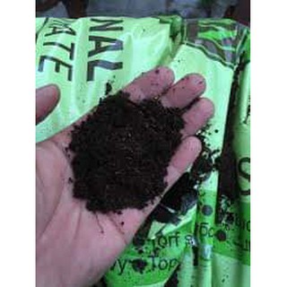 Peat moss  / Peat Man / Rêu mục ( 1kg)