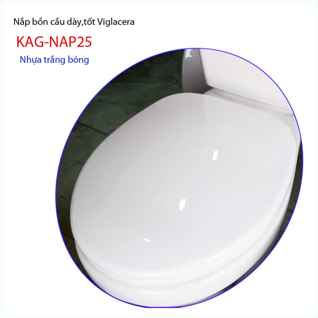 Nắp đậy bồn cầu Viglacera KAG-NAP25, nắp bàn cầu cao cấp dày nhựa trắng bóng cao cấp