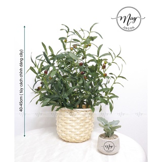 Cây giả, Cành Oliu hàng cao cấp quả bóng đẹp