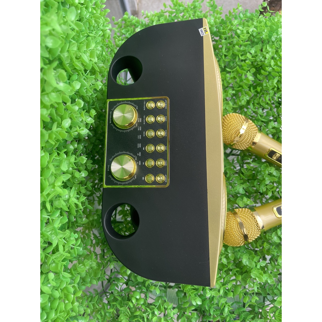 Loa Karaoke YS 206 Có 2 Micro Không Dây Hỗ Trợ USB, Thẻ Nhớ, Bluetooth Cho Âm Thanh To Rõ Rành Thuận Tiện Sử Dụng