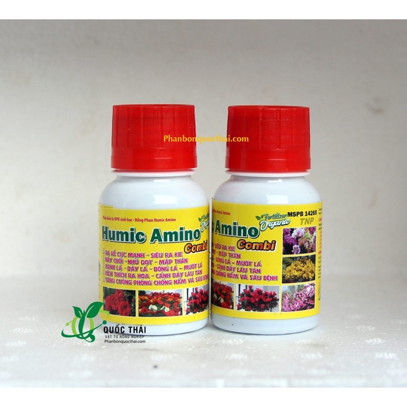 Phân Bón Lá Sinh Học HUMIC AMINO COMBI Kích Ra Rễ,Keiki,Mập Thân,Nảy Chồi-chai 50ml