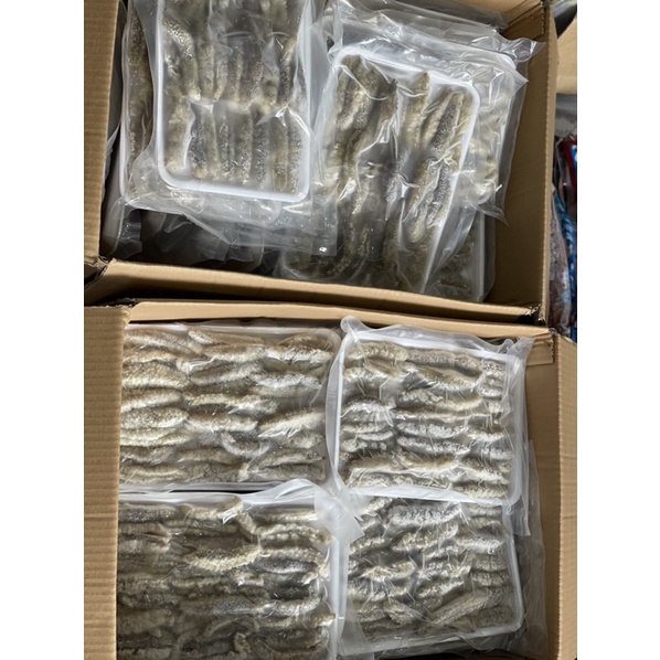 Hải Sâm gai  - Giá sỉ rẻ nhất