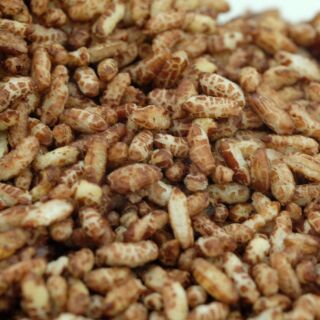 Gạo lức cháy tỏi 300gram