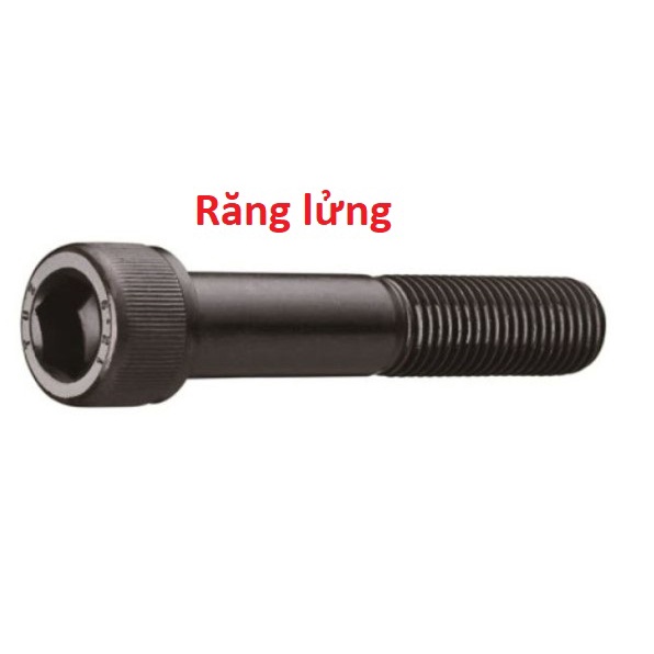 Bộ 10 Bù lon Thép Đen lục giác chìm đầu trụ (M5/6/8 x dài hơn 50mm)