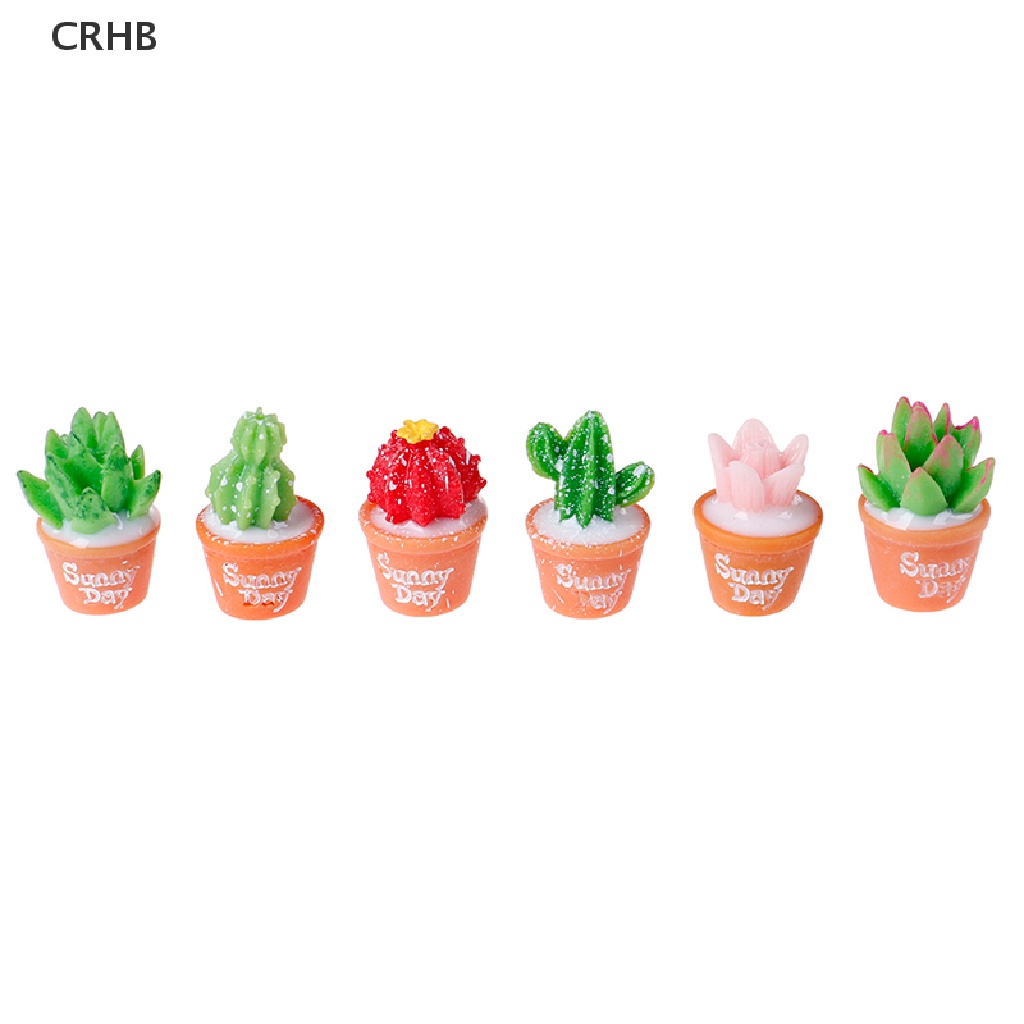 Crhb Set 5 Cây Xương Rồng Bằng Nhựa Resin Nhỏ Tự Trang Trí Chậu Cây Bonsai Mới