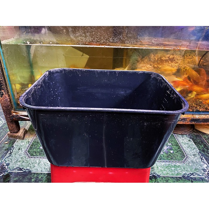 THÙNG NHỰA 7 LÍT NUÔI CÁ BẢY MÀU BETTA 2 MÀU TRẮNG ĐEN 30X22X16CM